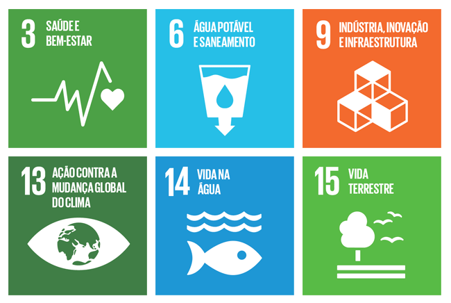 Objetivos de Desenvolvimento Sustentável - ONU