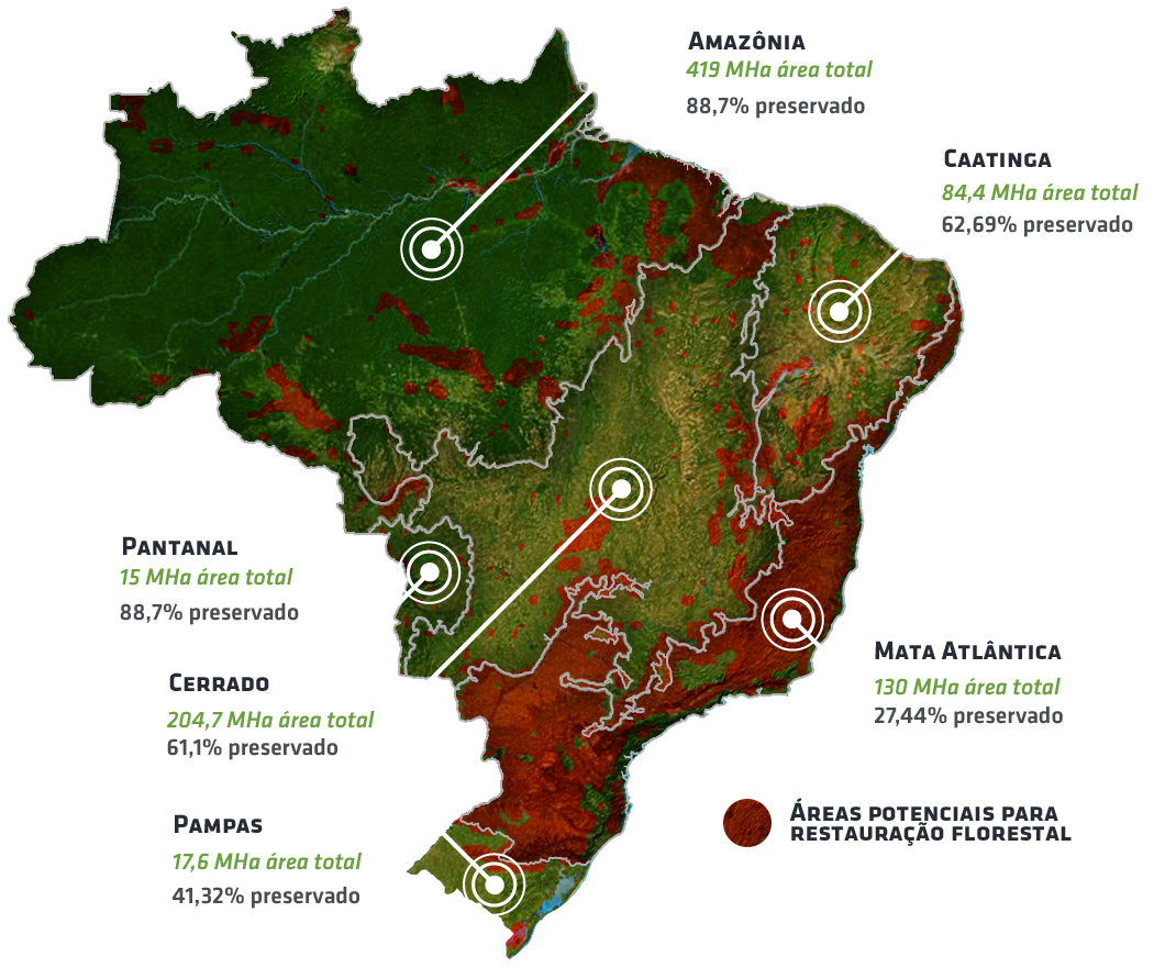 biomas brasil Nucleário